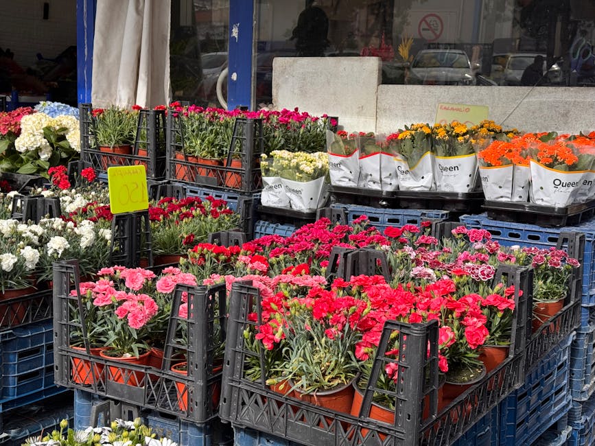 An outdoor display of various flower arrangements featuring potted carnations in shades of pink, red, white, and orange. The flowers are arranged in black plastic crates, with some wrapped in white pa