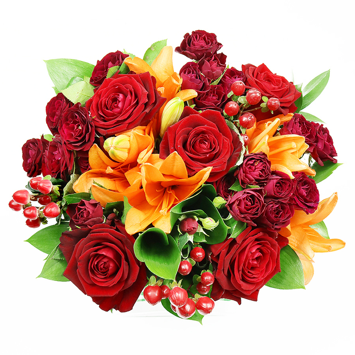 Captured from above on a crisp white background, this lush, circular bouquet presents an opulent chorus of reds, oranges and greens that I might arrange for a Kensington or Earls Court celebration. Several large, fully opened deep red roses take centre stage, their velvety layers curling outward like soft, scarlet cups that hold the fragrance of classic roses. Between them the fiery orange Asiatic lilies introduce sculptural drama - trumpet-like petals, prominent stamens, and a mix of open flowers and poised buds that give the design movement and promise of bloom to come. Tucked into the crevices are tightly clustered, dark burgundy spray roses whose miniature heads add a plush, velvet texture and deepen the overall palette into jewel tones. Sprigs of glossy hypericum berries provide bright, reflective pops, their small round forms striking against the petals. Lush ruscus or salal leaves lend a cool, glossy backdrop, their broad green planes emphasising the warmth of the reds and oranges. The soft, even overhead lighting flattens shadows and showcases the bouquet's density and careful construction-every stem placed for balance and fullness. As an Earls Court florist I imagine this arrangement being chosen for anniversary bouquets delivered to homes off Earls Court Road, gifts after a concert at the local venues, or warm centrepieces for autumn dinner tables. The scent is a subtle duet of lily's spicy citrus and the deeper, heady perfume of roses, and the overall mood is celebratory, romantic and very refined - the kind of bouquet Florist Earls Court would prepare for meaningful moments around the neighbourhood.