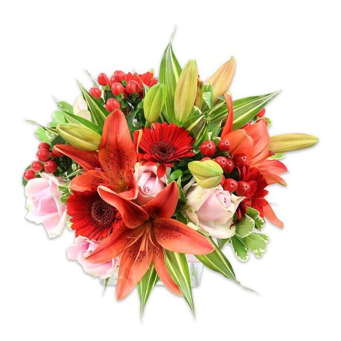 Against a stark white studio backdrop, this opulent bouquet unfolds as a study in warm colour and layered texture, the result of deliberate, practiced floral design. The dominant elements are several large orange-red lilies-their petals broad and intense, some tipped into graceful curves that expose faint speckling and the sculptural dark anthers of their stamens-balanced by unopened lily buds that create a sense of future bloom. Interwoven closely are saturated red Gerbera daisies, unmistakable with their concentric, radiating petals and a darker central disk that anchors each blossom visually. Soft blush roses drift through the composition, offering delicate rounds of petals from tight buds to more open rosettes, their velvety surfaces softening the arrangement's brighter, more graphic elements. Bright, glossy red hypericum berries punctuate the bouquet like small, cheerful ornaments, bringing a tactile, bumpy counterpoint to the smoothness of the petals. Foliage is generous and varied: broad, solid green leaves provide a rich backdrop, while slender lily leaves and variegated greenery with pale streaks add movement and depth, producing a full, rounded silhouette that reads as both abundant and meticulously arranged. The lighting is clear and even, accentuating the subtle sheen on the lilies and the plush texture of the roses; an inviting, slightly spicy floral aroma seems to lift from the composition. This arrangement feels celebratory and heartfelt-perfect for marking anniversaries, birthdays, or as a thoughtful housewarming present for someone living near Earls Court or returning from a stroll through nearby Warwick Road-and demonstrates the attention to balance and freshness expected from an experienced local florist.